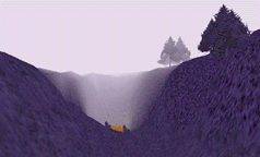 Burning Woods