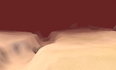 Wadi