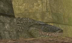 Die Mutter aller Krokodile